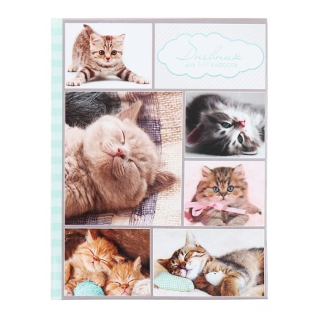 Universal diary for grades 1-11, "kittens", solid cover 7BC, glossy lamination, 40 sheets-1