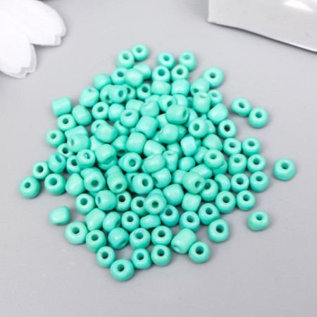 Round beads 6/0 "turquoise" 20 g-1