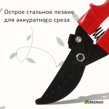 Planning coater, 9 "(23 cm), with plastic handles-1