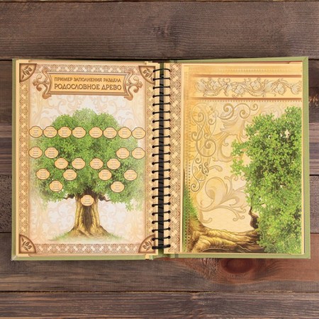 The genealogy book "Family Chronicle", 30 sheets, 24.5 x 29.2 cm-14