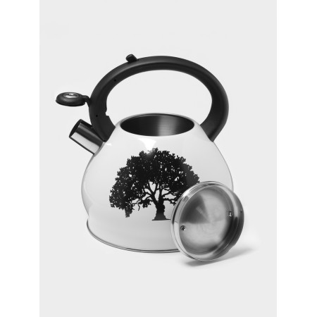 A kettle with a stainless steel whistle of the Magic Forest, 3 l, with a heating indicator, induction-1