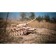 Wooden designer 3D EWA "T-34 tank"