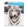 Notebook of 48 sheets in Calligrata "Wild Cats", cover coated paper, block No. 2, mix