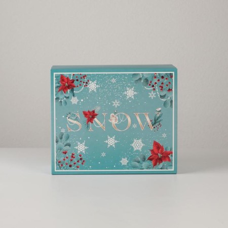 Snow confectionery packaging, 20 x 17 x 6 cm, New Year-1