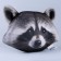 Antistress Pillow "Raccoon"