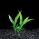 The artificial aquarium plant is small, 9 cm