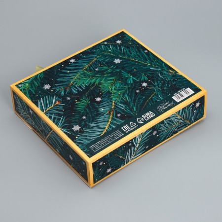Gift Box "Happiness in the New Year", 20 x 18 x 5 cm, new year-4