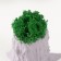 Concrete Kashpo "stump" 7.5x8.5x7 cm gray with moss (moss green stabilized)