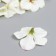 Budon on the leg for decoration "Cherry white-green" d = 4.5 cm