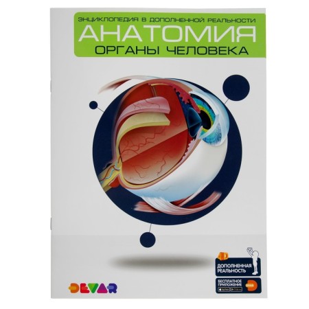 4D encyclopedia in augmented reality "Anatomy: Human organs"