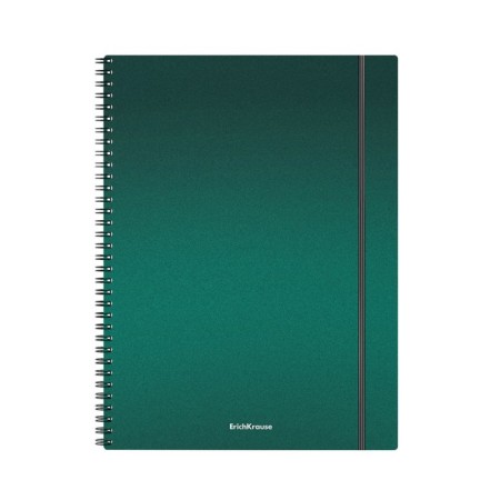 A4 notebook, 80 sheets in a cage on the crest Erichkrause Ice Metallic, plastic cover, elastic band, offset block, whiteness 100%, mix-6