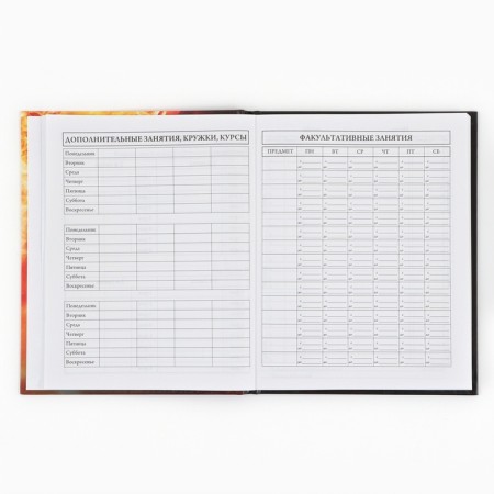School Diary 1-4 class, in a solid cover, 48 liters "September 1: football"-5