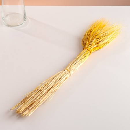 Set of dried flowers "rye", banch 35-40 pcs, length 55-65 (+/- 6 cm), yellow-3