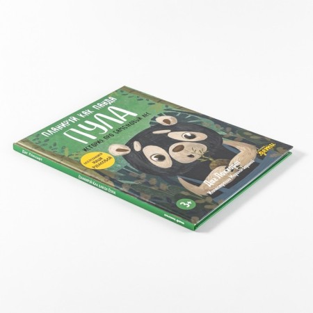 Plan a panda pool. History about the bamboo forest. Lokhart D.-3