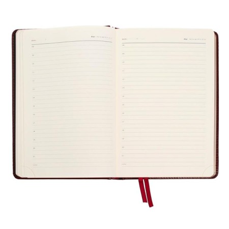 Diary Leduced A5+, 176 Parliament sheets, solid artificial leather cover, green-14