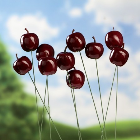 Set of plugs "Apple" 10pcs, 3cm, length 25cm-2