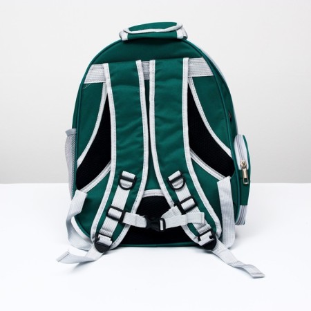 Backpack for carrying animals, transparent, 31 x 28 x 42 cm, green-2