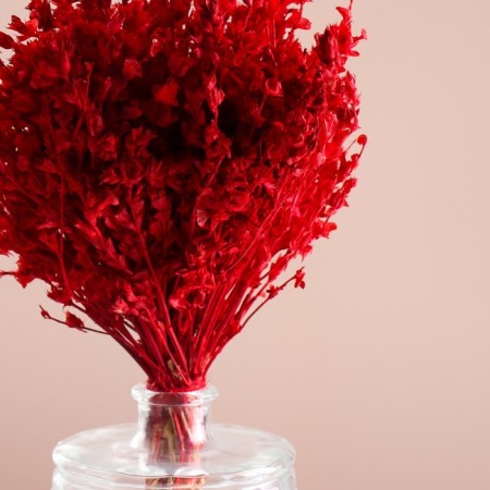 Set of dried flowers "chandra", banch length 40 (+/- 6 cm), red-1