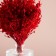 Set of dried flowers "chandra", banch length 40 (+/- 6 cm), red