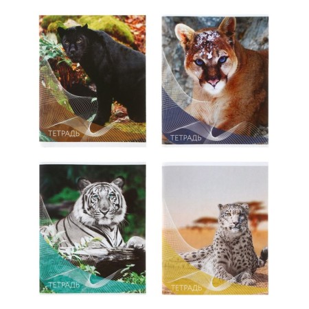 A notebook of 96 sheets in the Calligrata "Wild Cats" line, covered cardboard, block No. 2, whiteness 75% (gray sheets), mix
