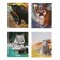 A notebook of 96 sheets in the Calligrata "Wild Cats" line, covered cardboard, block No. 2, whiteness 75% (gray sheets), mix
