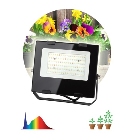 Phytoprotter for plants Fito-50W-RA90--led LED era for flowering and fruiting full