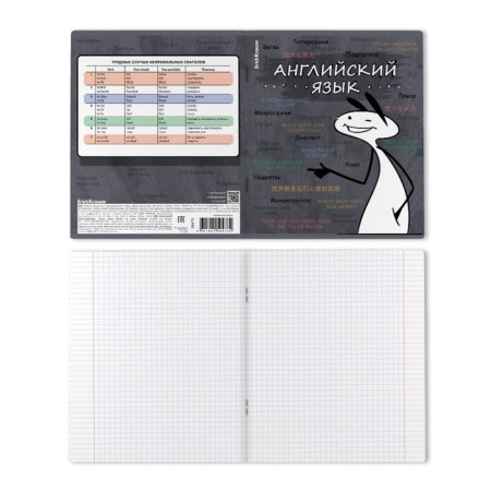 Subject notebook, 48 sheets, cage, English Erichkrause "Chubrik", plastic cover silkography, Blok Offset 100%, information block-1