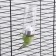 Drill for rodents, 80 ml, fastening-spring, green