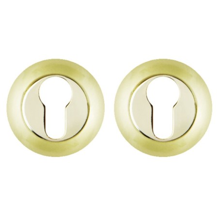Fuaro et rm sg/gp-4 cylinder lining, matte gold/gold