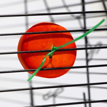Mineral stone "Pigger" for rodents, orange, 23 g-4