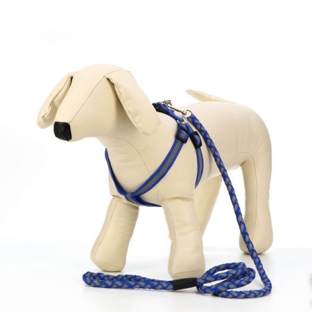 Set "braid", fluorescent, leash 115 x 1 cm, og 32-48 x 1.5 cm, blue-1