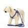Set "braid", fluorescent, leash 115 x 1 cm, og 32-48 x 1.5 cm, blue