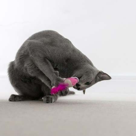 Toy PetStages dental "shrimp" for cats, with cat mint, 2 pcs, 7 cm-3