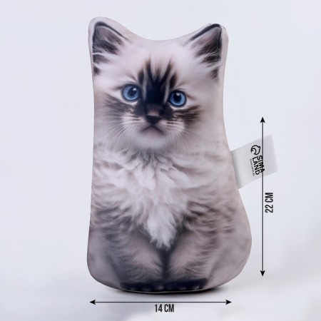 Antistress toy "Kotik Ragdoll"-1
