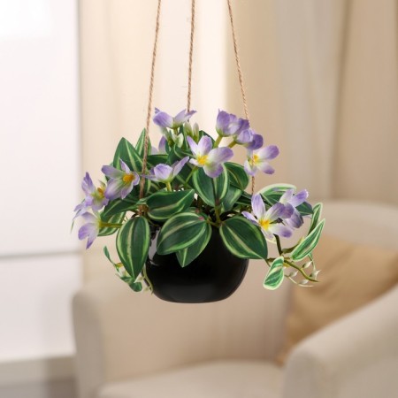 Bonsai in the pot "Maranta" (on the suspension) 9x15 cm, mix