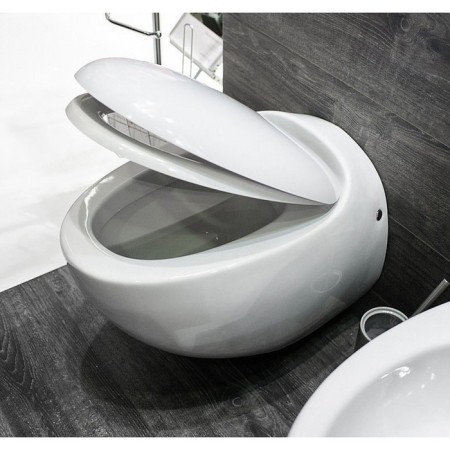 Sanita Luxe Ringo toilet seat, Duroplast with microlypt, Clip-up-1