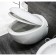 Sanita Luxe Ringo toilet seat, Duroplast with microlypt, Clip-up