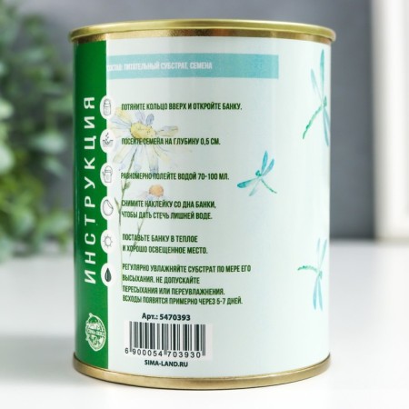Growing gift of grass "Let all desires fulfill" (chamomile)-2