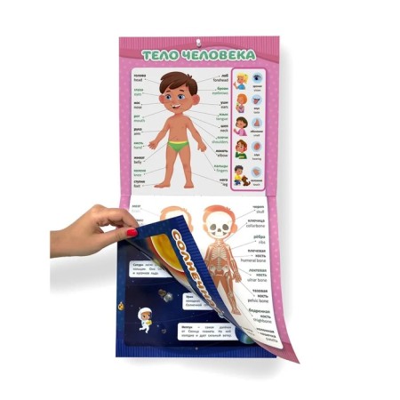 Collection of training posters "Preparation for school", 29 × 29 cm-4