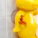 Bath toy "Mill. Chicken ", on a suction cup, color mix