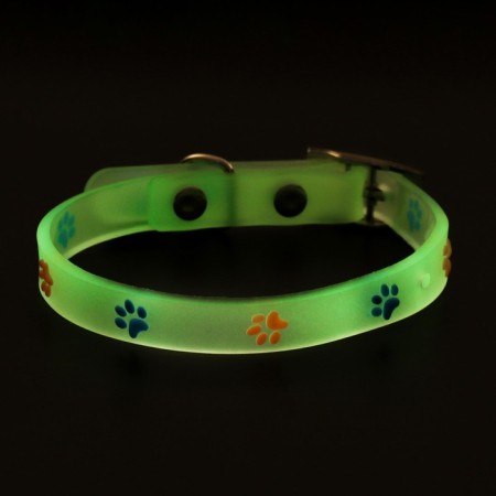A collar glowing in the dark, "bright traces" (fluorescent), 30 x 1 cm, purple-yellow-9