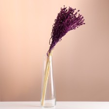 A set of dried flowers 