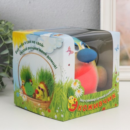 Growing gift Eco -Zhizhivchik "Bullfinch" Gift packaging-5