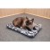 Pixel mattress, interlock, membrane, 54 x 39 x 4 cm