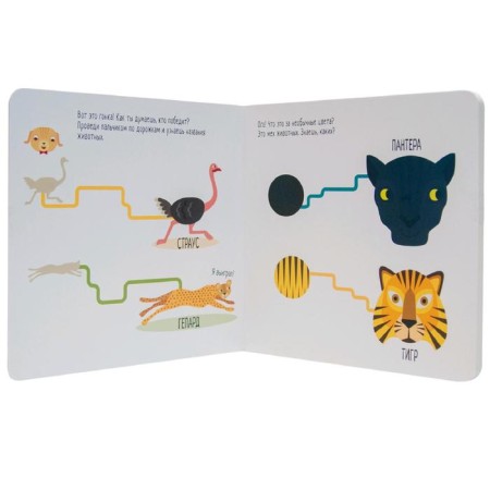 Montescorori method. Development through the game. Animals. My first book, Piroddy K.-2