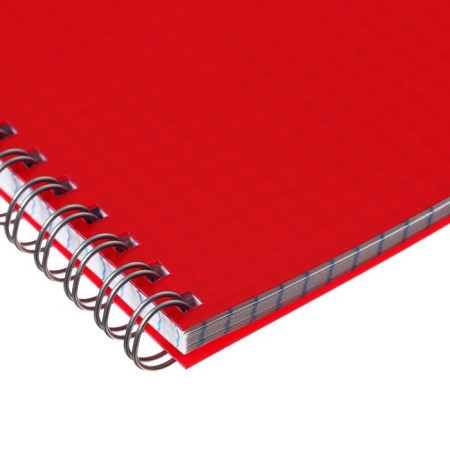 Notebook on the crest A5 96 sheets in the Calligrata cage red, plastic cover, OFSET block-2