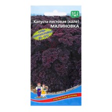 Cabbage seeds 