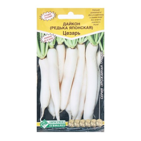 Daikon seeds, radish Japanese Caesar, 1 g