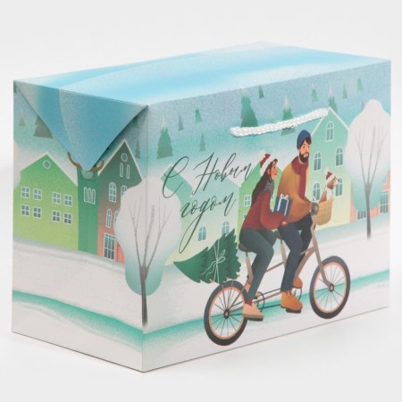 Package-Koroka "New Year", 28 x 20 x 13 cm, New Year-2