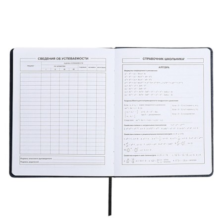 Universal Grade 1-11 Diary, 48 sheets "Joystick", a solid cover of artificial leather, applique, pancake embossing, lisse, universal cheat sheet, block 80 g/m2-8